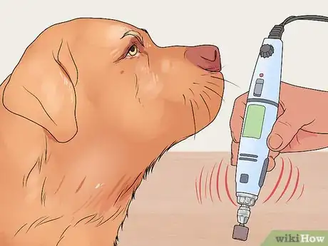 Imagen titulada File a Dog's Nails Step 5