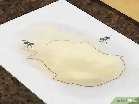 Imagen titulada Stop Ants From Coming Into Your Home Step 18