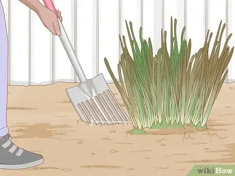Imagen titulada Transplant Daffodils Step 2