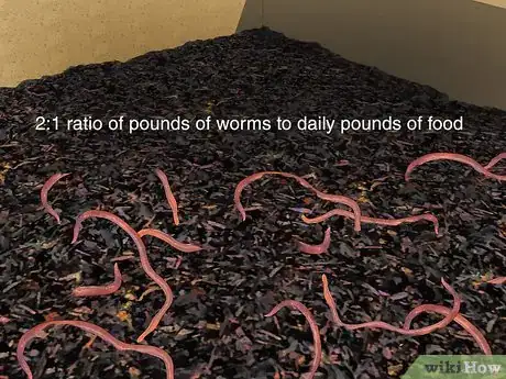 Imagen titulada Start a Worm Farm for Profit Step 5