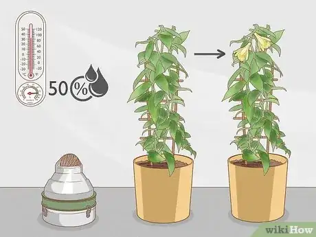 Imagen titulada Make a Vanilla Orchid Plant Bloom Step 3