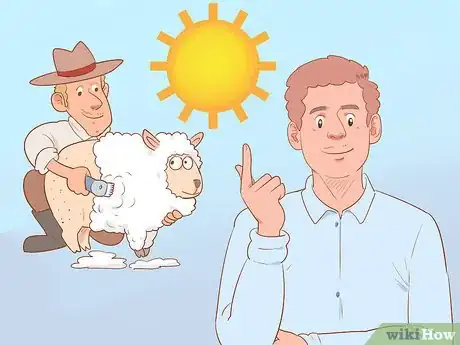 Imagen titulada Shear a Sheep Step 1