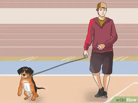Imagen titulada Start Walking Your Puppy Step 12