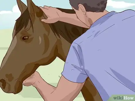 Imagen titulada Break a Horse Step 6