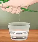 recolectar agua de las plantas