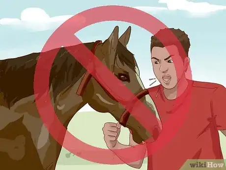 Imagen titulada Break a Horse Step 4