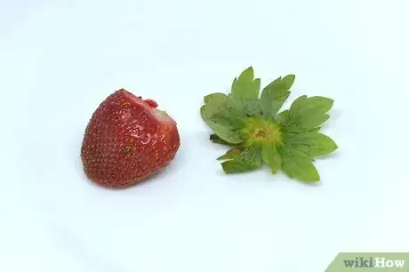 Imagen titulada Extract Strawberry DNA Step 3