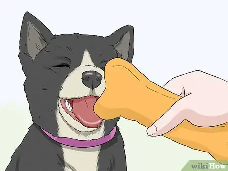 Imagen titulada Teach Your Dog to Drop It Step 12