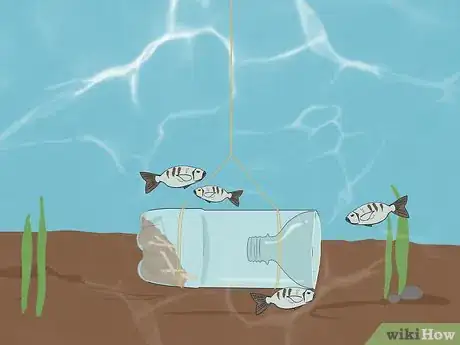 Imagen titulada Catch Fish Without Using a Rod Step 9.jpeg