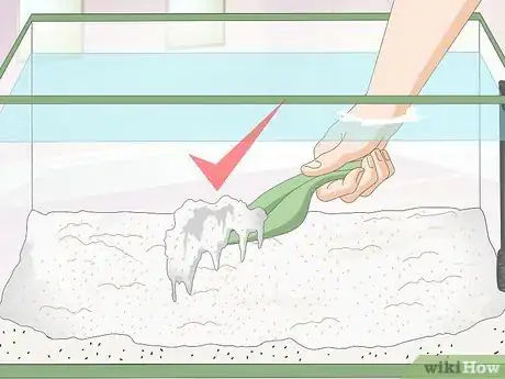 Imagen titulada Creatively Decorate a Freshwater Fish Tank Step 9