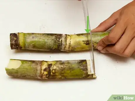 Imagen titulada Eat a Sugar Cane Step 5