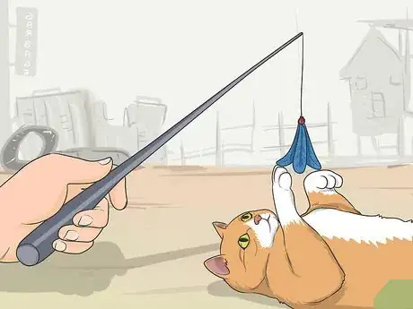 Imagen titulada Tame a Feral Cat Step 6