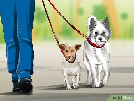 Imagen titulada Introduce a Puppy to a Dog Step 7