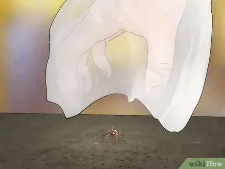 Imagen titulada Get Spiders Out of Your House Without Killing Them Step 17