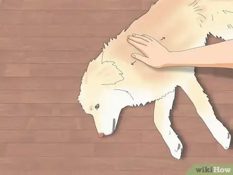 Imagen titulada Pet a Dog Step 15