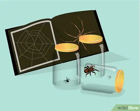 Imagen titulada Catch a Spider Intro