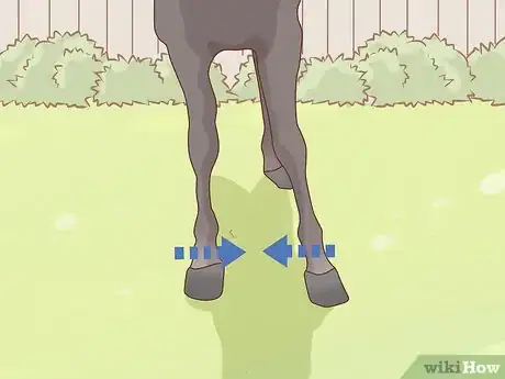 Imagen titulada Measure the Height of Horses Step 3
