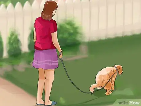 Imagen titulada Train Goldendoodles Step 9
