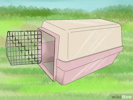 Imagen titulada Catch a Pet Rabbit Step 11
