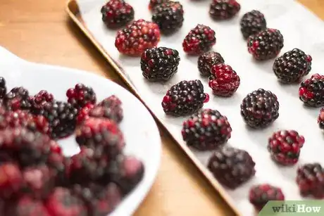 Imagen titulada Freeze Blackberries Step 3