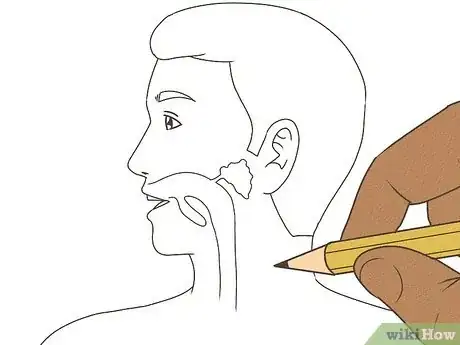 Imagen titulada Draw a Model of the Digestive System Step 2