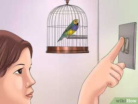 Imagen titulada Train a Bird to Step on Your Finger Step 3