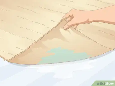 Imagen titulada Clean a Jute Rug Step 7