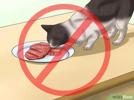 Imagen titulada Keep Cats off the Dinner Table Step 4