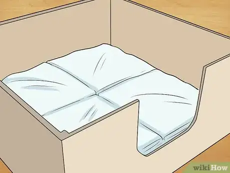 Imagen titulada Breed Labradors Step 11
