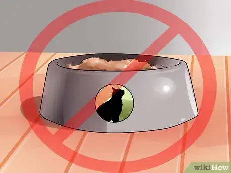 Imagen titulada Prepare Your Cat for Surgery Step 2