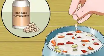hacer comida para perros que tienen alergias