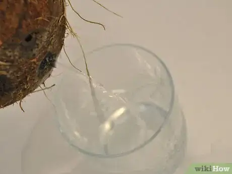 Imagen titulada Make Coconut Flour Step 2