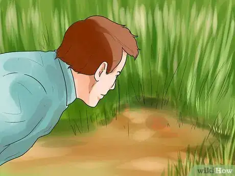 Imagen titulada Train a Dog for Rabbit Hunting Step 14