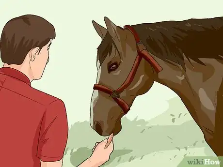 Imagen titulada Break a Horse Step 5