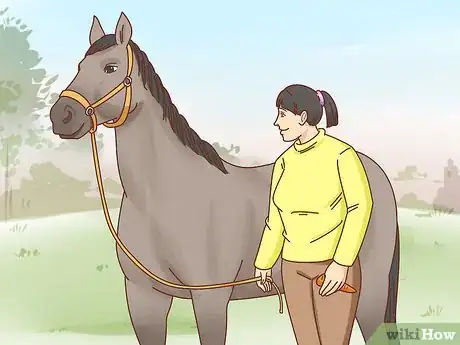 Imagen titulada Teach a Horse to Bow Step 11
