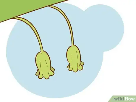 Imagen titulada Plant Asparagus Step 10