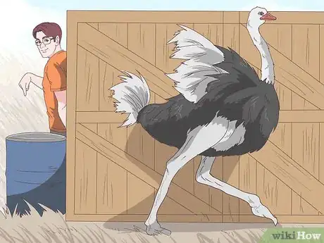 Imagen titulada Survive an Encounter with an Ostrich Step 1