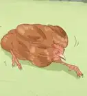 determinar si un pollo está enfermo
