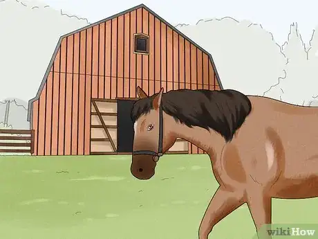 Imagen titulada Research a Horse's Bloodline Step 11