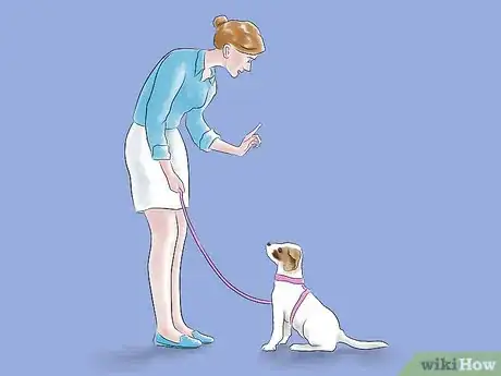 Imagen titulada Train a Pit Bull Step 6
