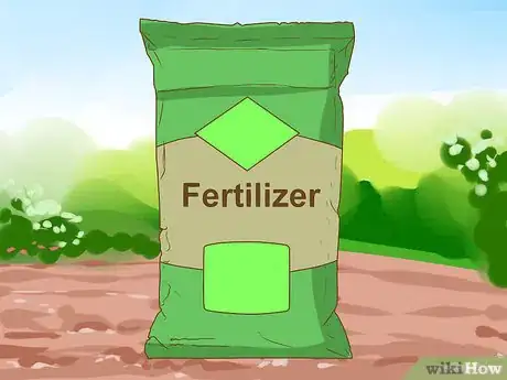 Imagen titulada Grow a Clover Lawn Step 5