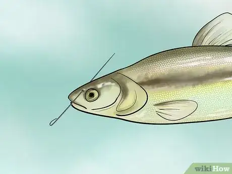Imagen titulada Bait a Fishing Hook Step 22