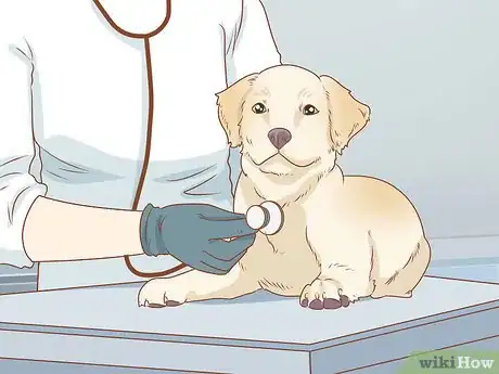 Imagen titulada Treat Your Dog Step 4