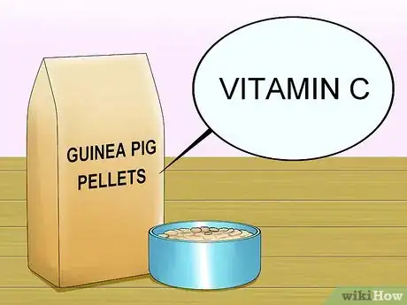 Imagen titulada Feed Guinea Pigs Vitamin C Step 2