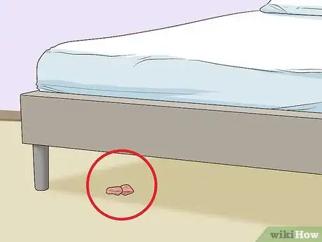 Imagen titulada Keep a Single Ferret Happy Step 5