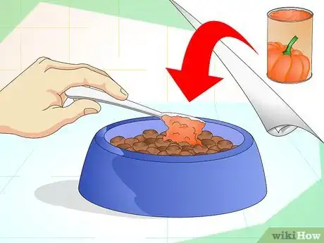 Imagen titulada Add Fiber to a Dog's Diet Step 4