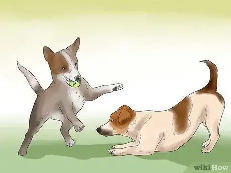 Imagen titulada Train an Aggressive Dog Step 22