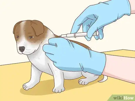 Imagen titulada Breed Pit Bulls Step 20