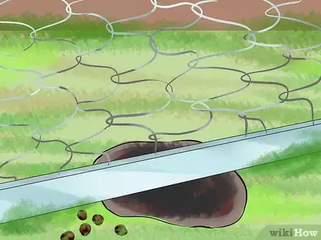 Imagen titulada Catch a Pet Rabbit Step 13
