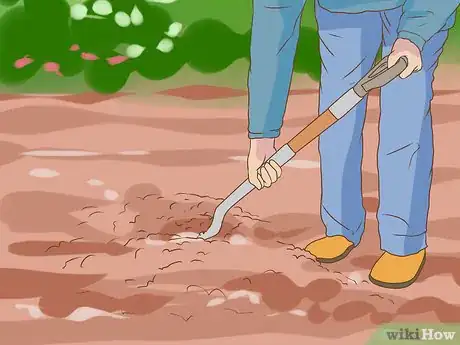Imagen titulada Grow a Clover Lawn Step 7